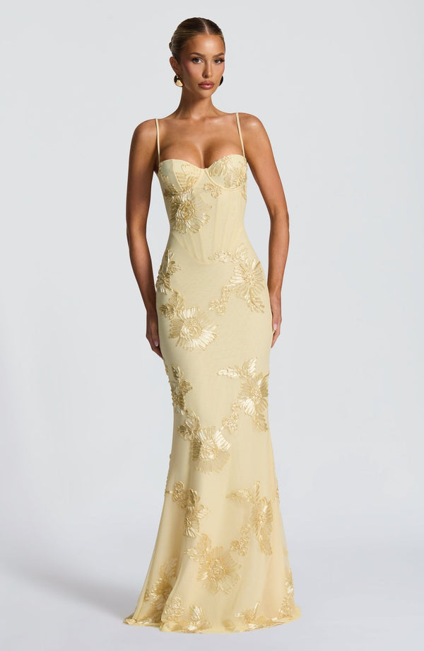 Floral Appliqué Corset Maxi Dress – Nerida - Hadassha