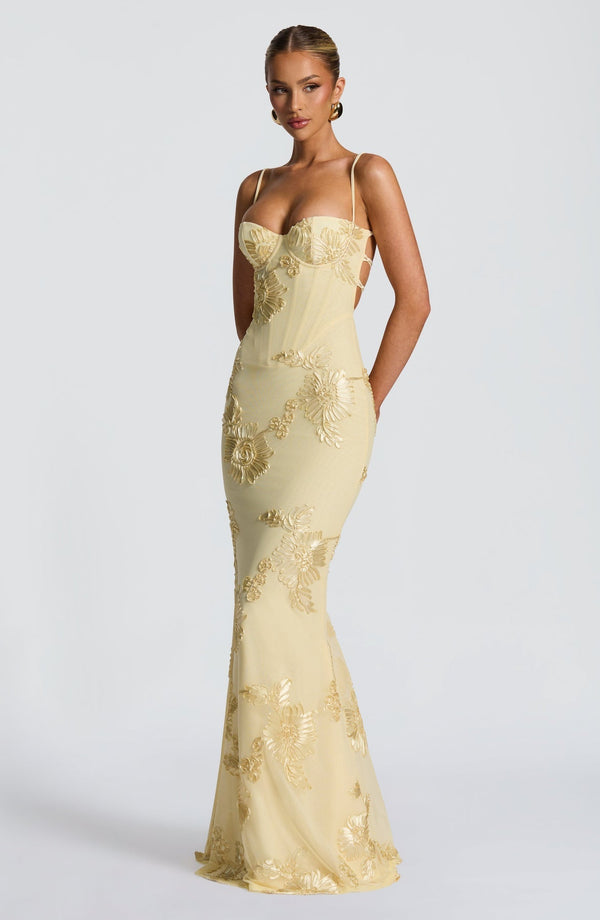 Floral Appliqué Corset Maxi Dress – Nerida - Hadassha