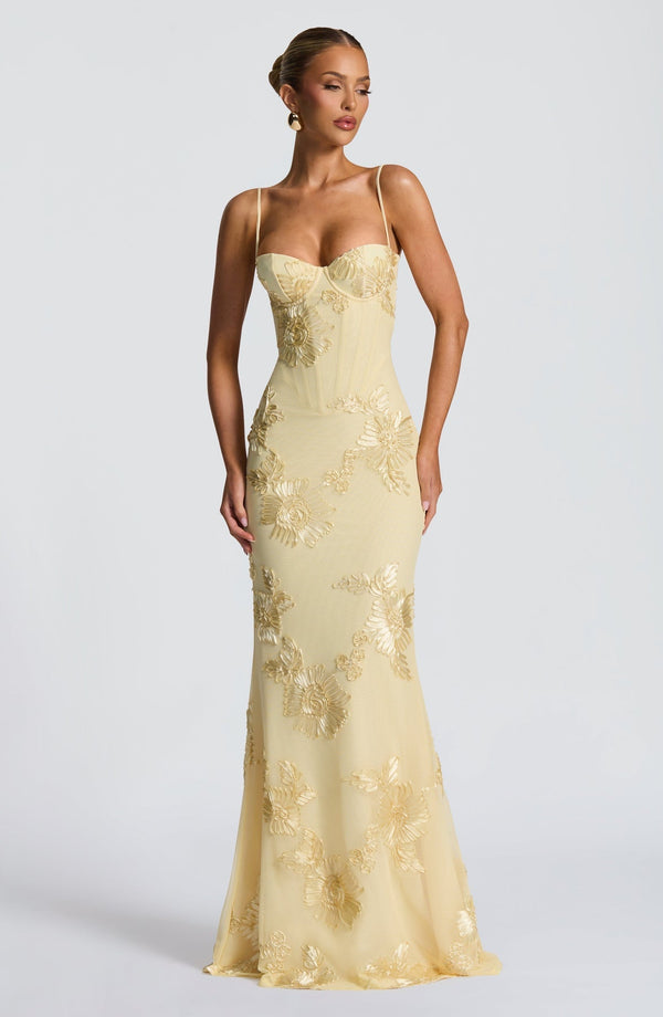 Floral Appliqué Corset Maxi Dress – Nerida - Hadassha