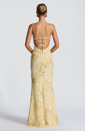 Floral Appliqué Corset Maxi Dress – Nerida - Hadassha