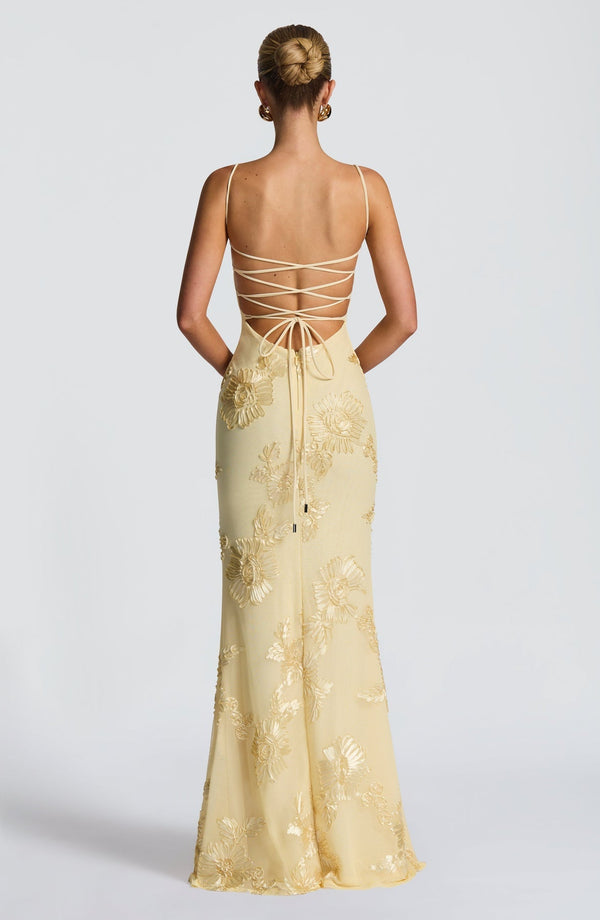 Floral Appliqué Corset Maxi Dress – Nerida - Hadassha